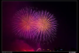 星光璀璨大宁夜，礼花飞舞映申城——记上海烟火节大宁版璀璨盛典